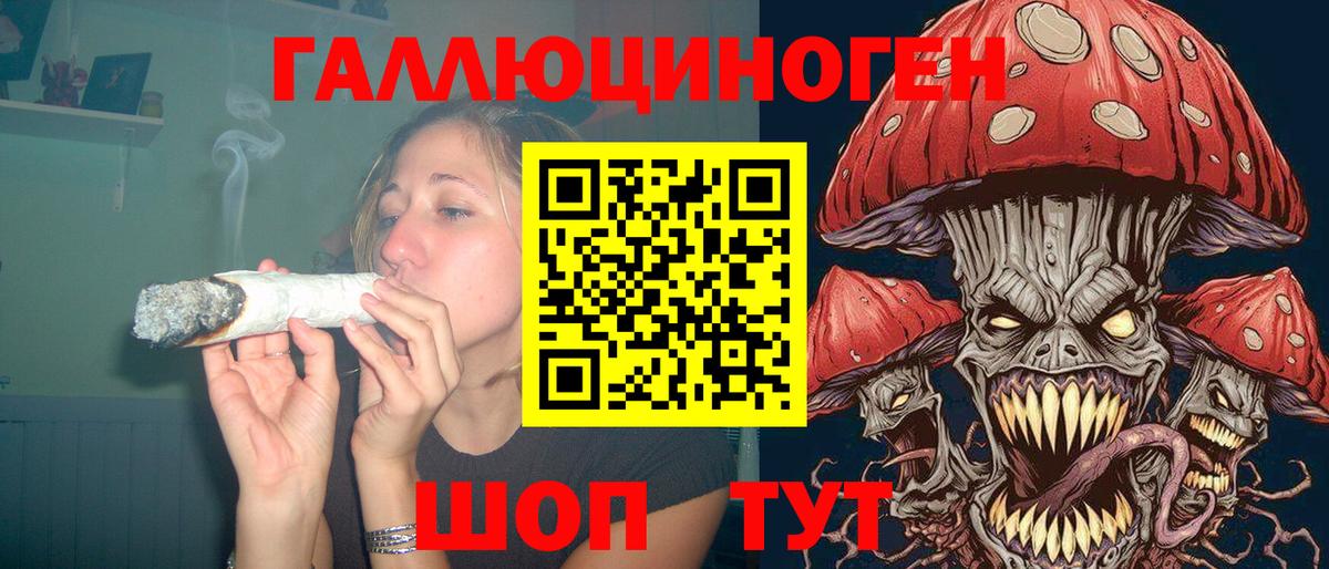 Псилоцибиновые грибы GOLDEN TEACHER  Галлюциногенные грибы ЛСД  Вход с VPN  Шали 